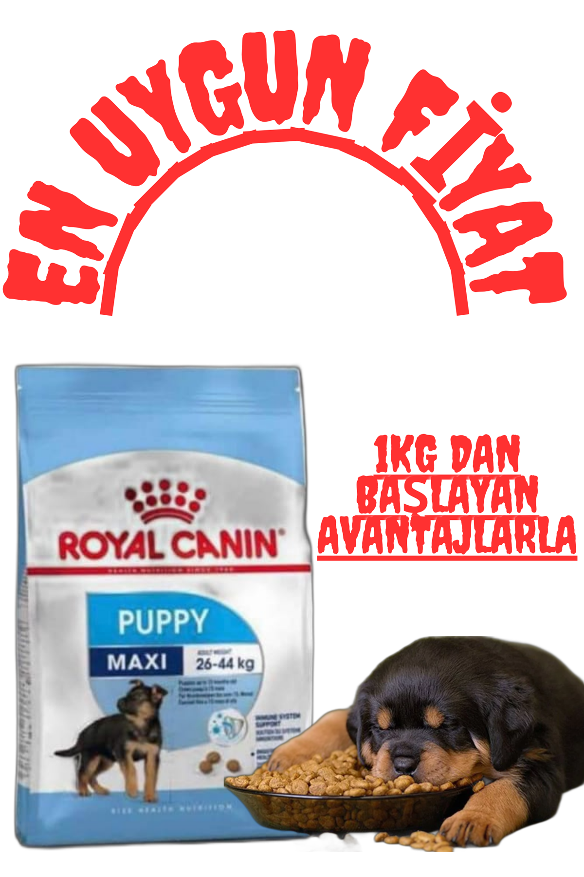 Royal Canin Maxi Puppy ile Yavrularınıza Sağlıklı Bir Başlangıç Yapın!