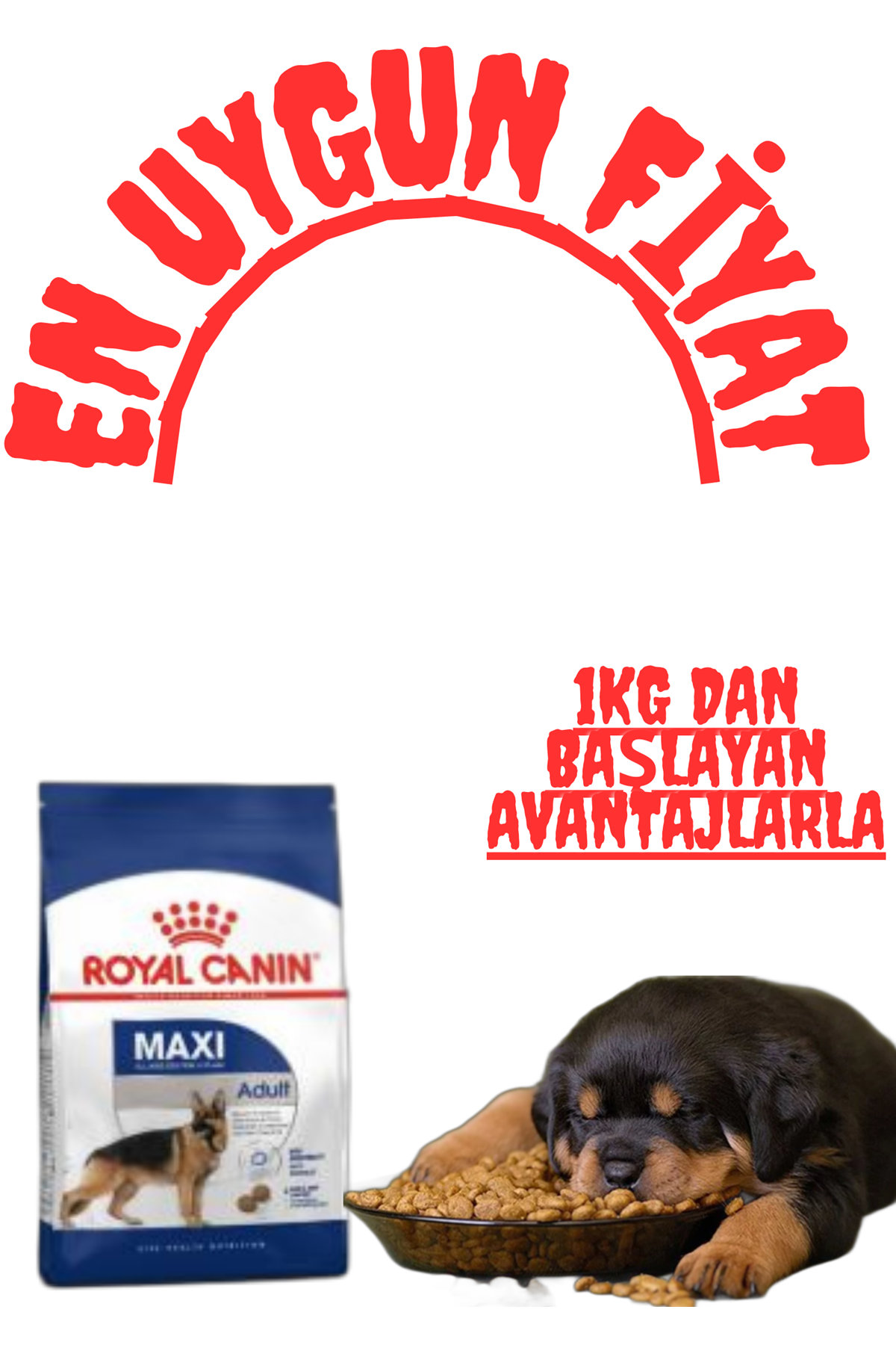 Royal Canin Maxi Adult ile Yetişkin Köpeğiniz İçin Optimal Beslenme